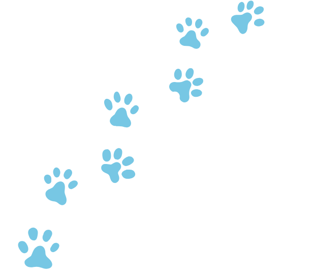 vétérinaire à kasbah marrakech